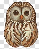 Buhos TrendyLife, brown owl illustration transparent background PNG clipart