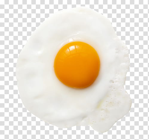 Gourmet Fried Eggs Drawing Illustration PNG Images