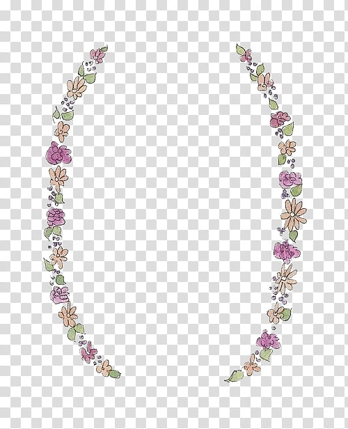 oval multicolored flower frame transparent background PNG clipart