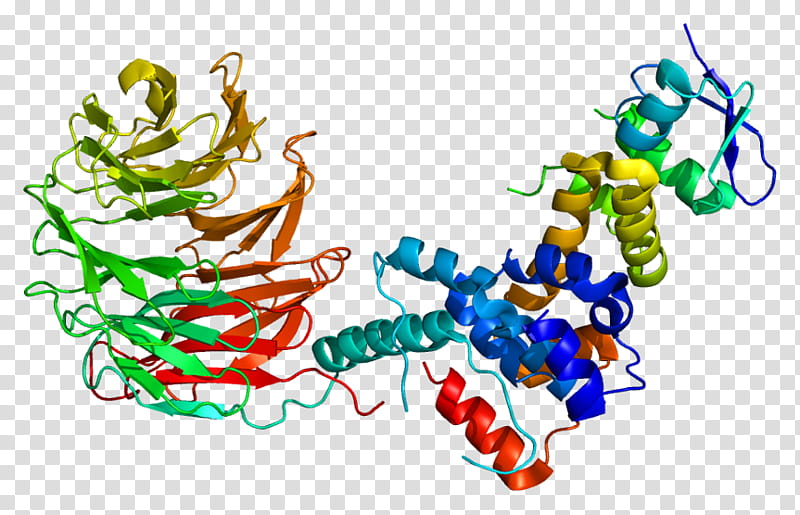 Fbxw7 Text, Protein, Fbox Protein, Parkin, Ubiquitin Ligase, Scf Complex, Gene, Cancer transparent background PNG clipart