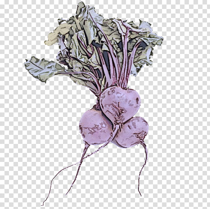 turnip vegetable rutabaga plant beetroot, Flower, Root Vegetable transparent background PNG clipart