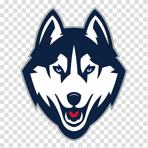 Wolf Logo, University Of Connecticut, Connecticut Huskies Mens Basketball, Connecticut Huskies Baseball, Connecticut Huskies Football, Husky, Sports, Dog transparent background PNG clipart