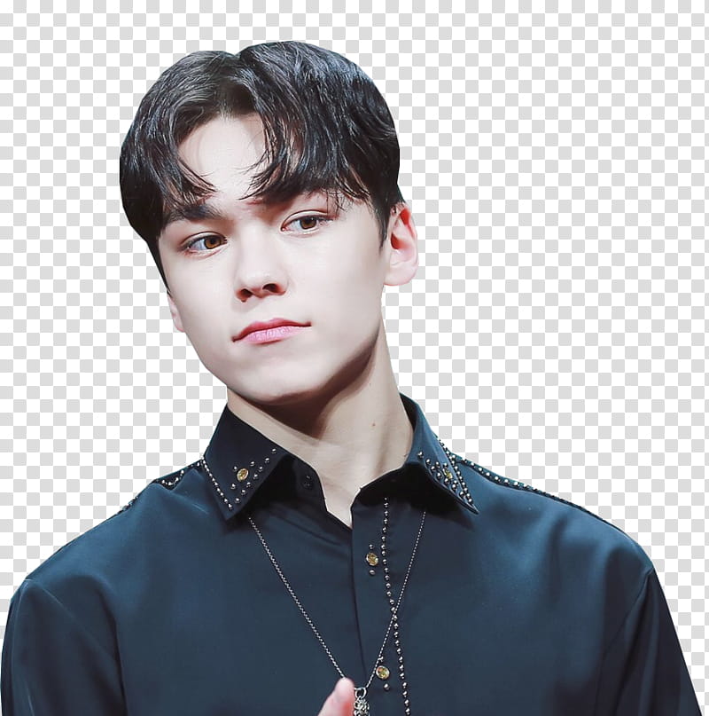 Vernon Seventeen, Seventeen Vernon transparent background PNG clipart