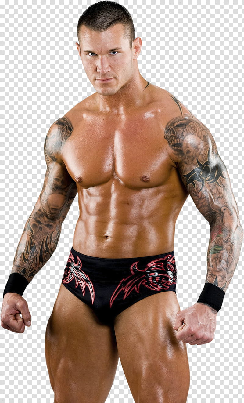 Randy Orton  transparent background PNG clipart