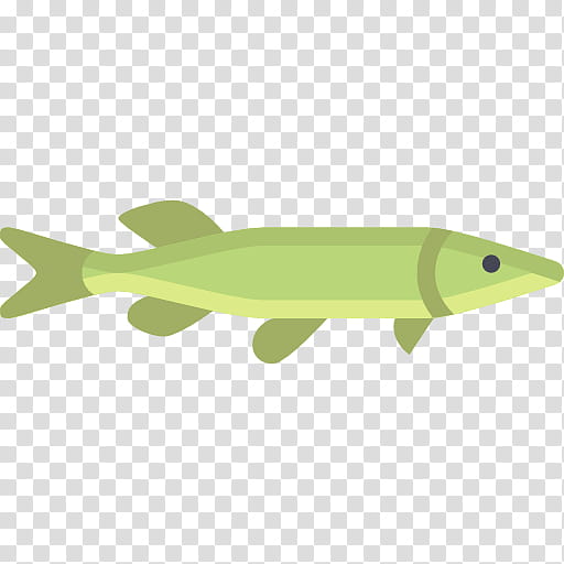 Background Green, Animal, Fish, Fin, Wing, Reptile, Bony Fish transparent background PNG clipart