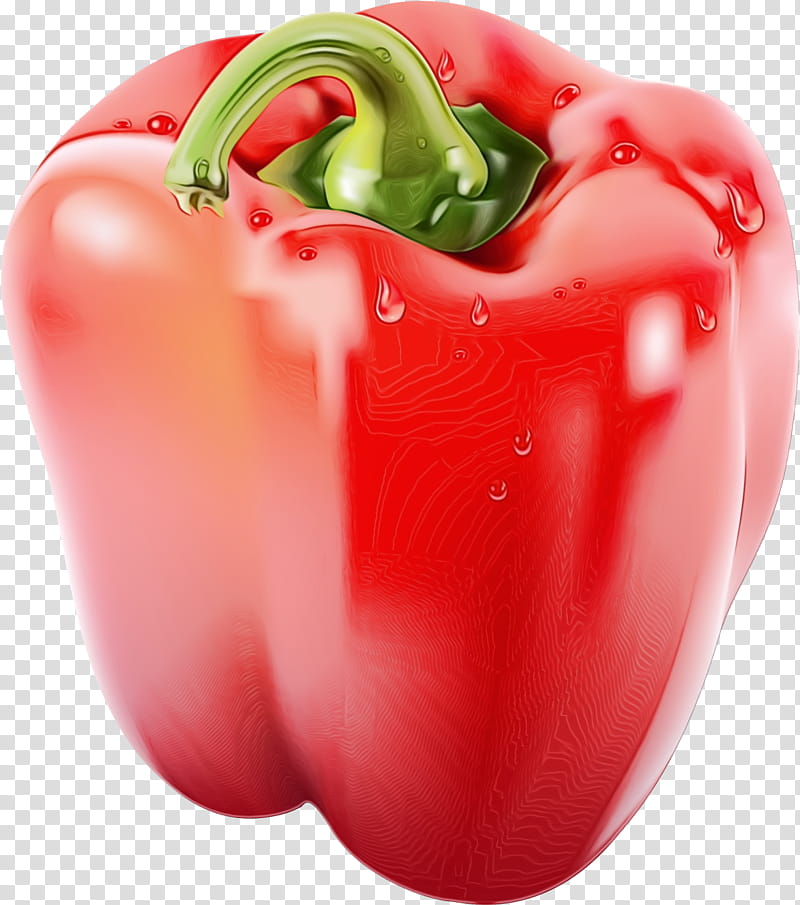 natural foods bell pepper pimiento red bell pepper bell peppers and chili peppers, Watercolor, Paint, Wet Ink, Capsicum, Vegetable, Paprika transparent background PNG clipart