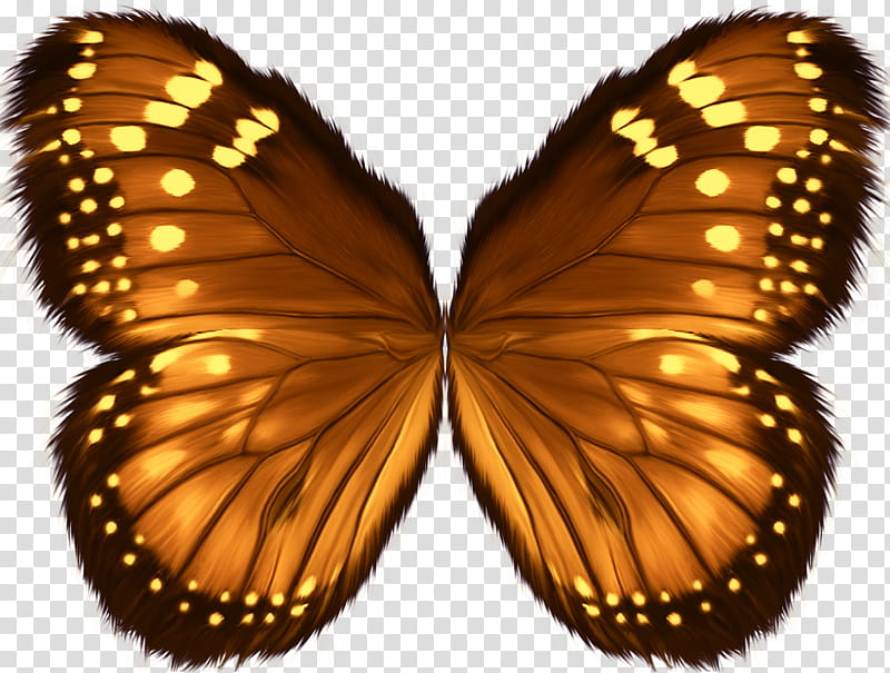 Object Wings , brown, black, and yellow butterfly transparent background PNG clipart