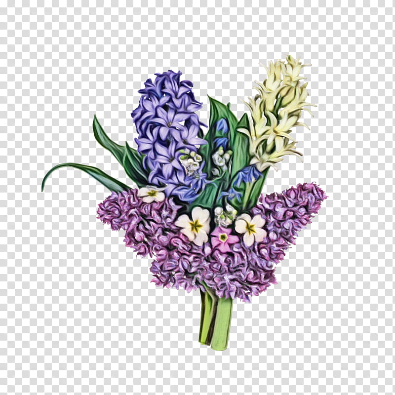 Lavender, Watercolor, Paint, Wet Ink, Flower, Flowering Plant, Grape Hyacinth, Cut Flowers transparent background PNG clipart