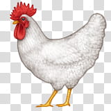 emojis, broiler chicken illustration transparent background PNG clipart