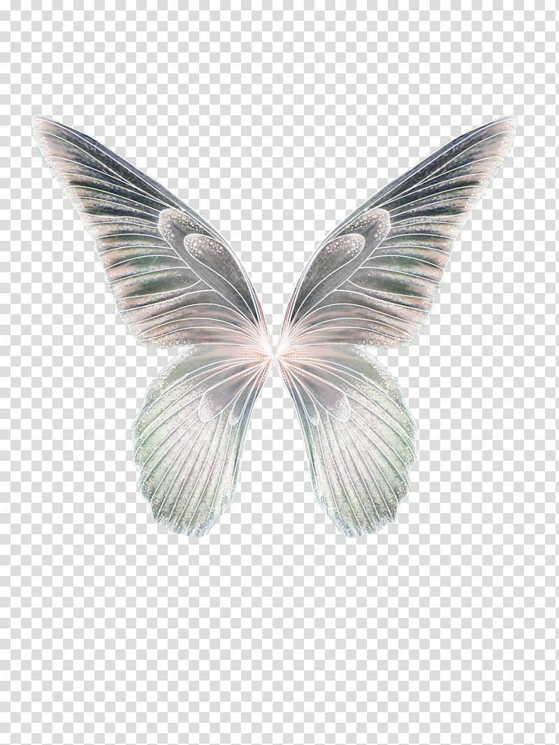 Faerie Wing s, green and white butterfly wings illustration transparent background PNG clipart