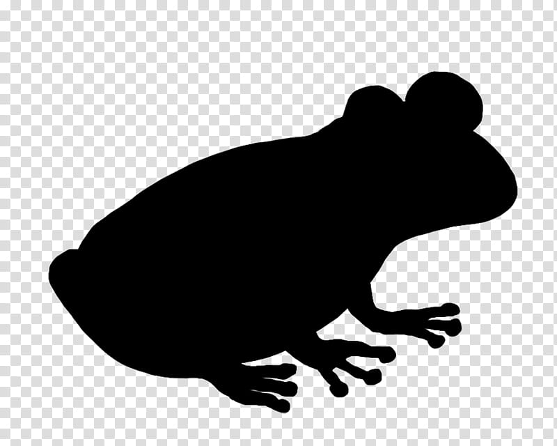 Frog, Silhouette, Snout, Toad, Hyla, True Frog, Bufo transparent background PNG clipart