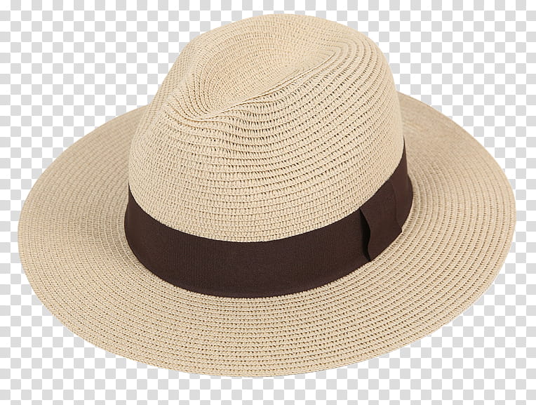Party Hat, Raffia, Fedora, Sun Hat, Straw Hat, Panama Hat, Felt, Wool transparent background PNG clipart
