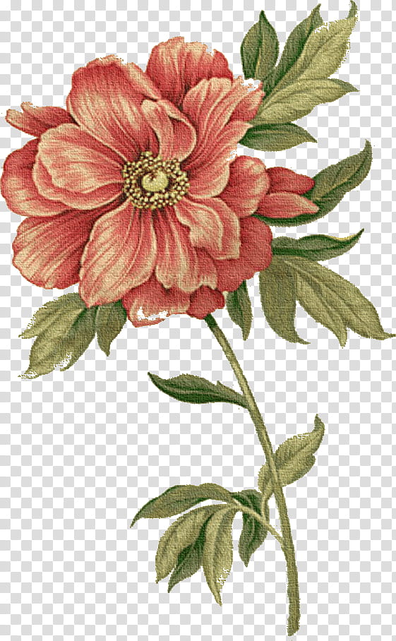 Artificial flower, Drawing Flower, Watercolor Flower, Floral Drawing, Plant, Petal, Common Peony, Cut Flowers transparent background PNG clipart