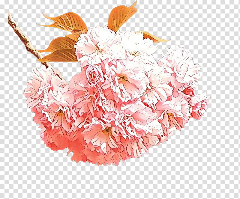 Cherry blossom, Cartoon, Pink, Cut Flowers, Petal, Plant, Bouquet, Peach transparent background PNG clipart