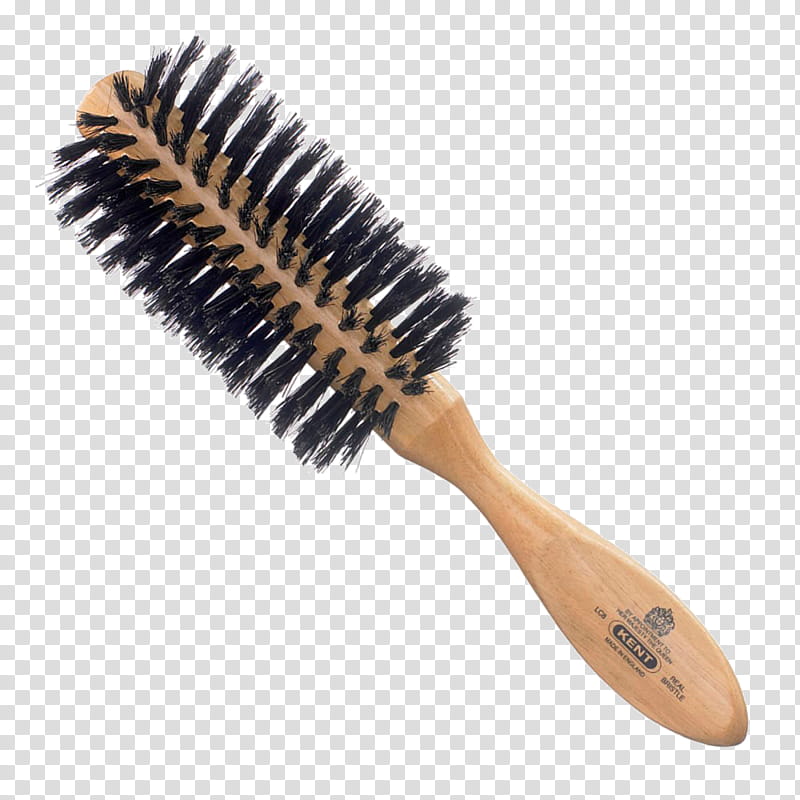 Hair, Comb, Hairbrush, Bristle, Hair Care, Cosmetics, Scalp, Hair Styling Tools transparent background PNG clipart