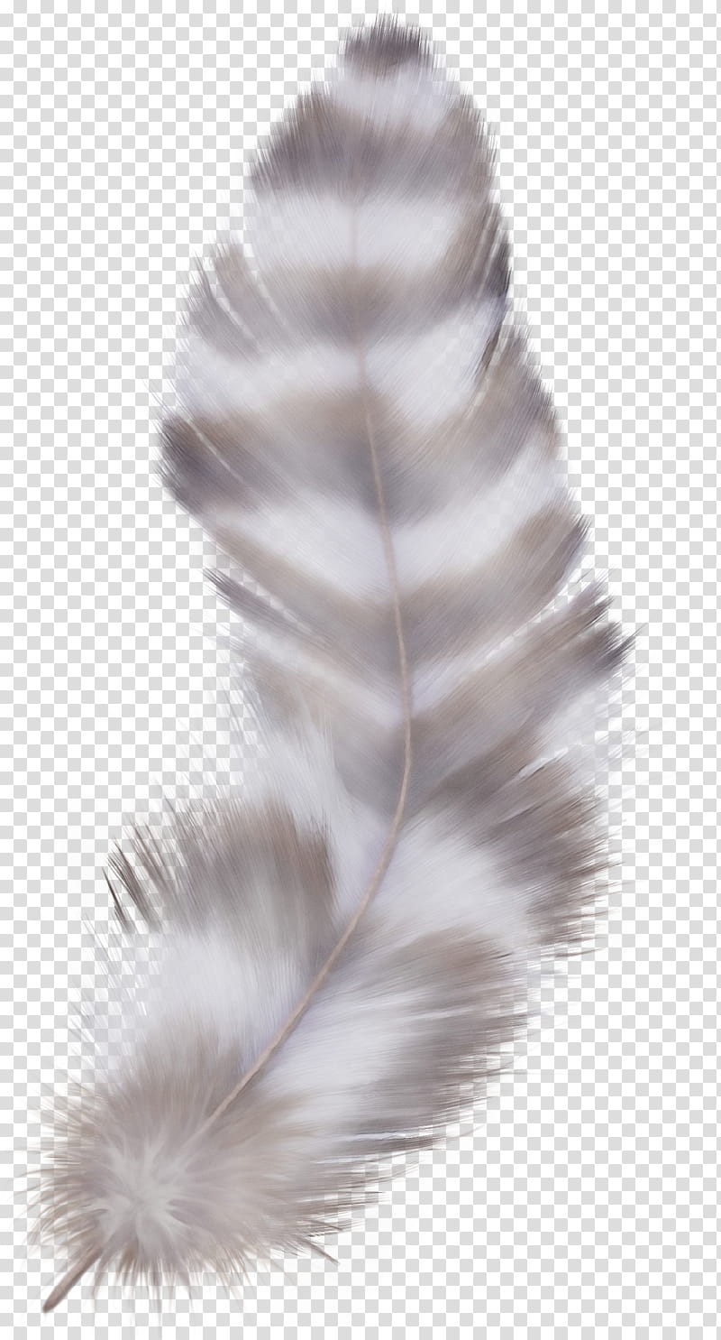 Peacock Drawing, Feather, Peafowl, Bird, White Feather, Painting, Desi Natural Peacock Eye Feathers Tails, Fur transparent background PNG clipart
