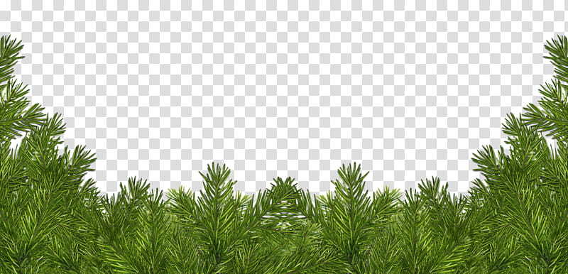 Christmas corners, green pine tree leaves illustration transparent background PNG clipart