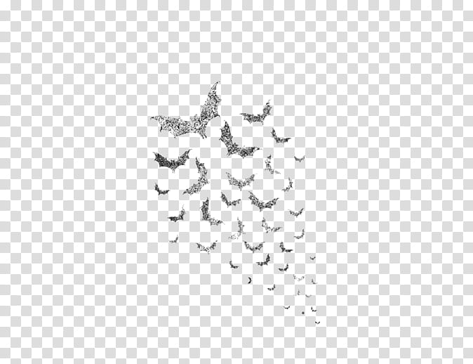 Bird Line Drawing, Bat, Swarm Behaviour, Flock, Tshirt, Sticker, Bird Migration, Animal Migration transparent background PNG clipart
