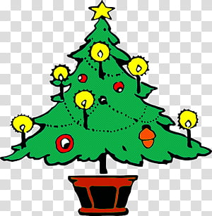 Christmas tree, Colorado Spruce, Oregon Pine, Christmas Decoration, Christmas Ornament, Christmas 
, Holiday Ornament, Conifer transparent background PNG clipart thumbnail