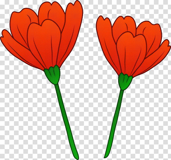 flower plant petal leaf plant stem, Tulip, Coquelicot, Cut Flowers transparent background PNG clipart