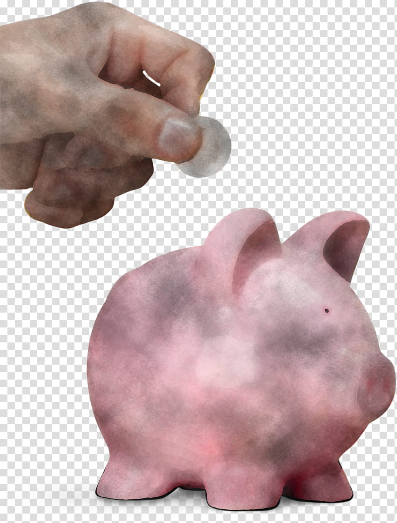 Piggy bank, Saving, Pink, Money Handling, Snout transparent background PNG clipart