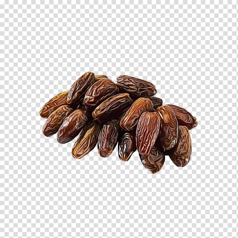Palm Trees, Dates, Medjool, Deglet Nour, Date Palm, Raw Foodism, Fruit, Lifefood transparent background PNG clipart