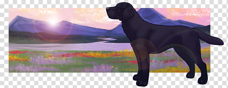 Cartoon Dog, Labrador Retriever, Flatcoated Retriever, Puppy, Breed, Crossbreed, Flat Coated Retriever, Sporting Group transparent background PNG clipart