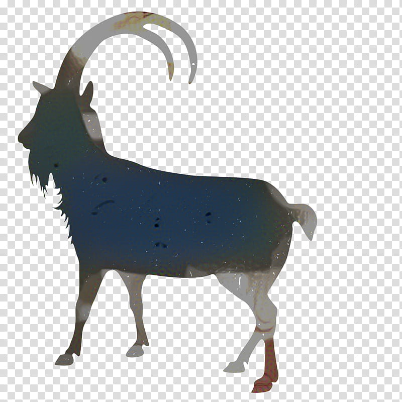 Cartoon Sheep, Goat, Feral Goat, Sound, Audiovisual, Building, Book, Science transparent background PNG clipart