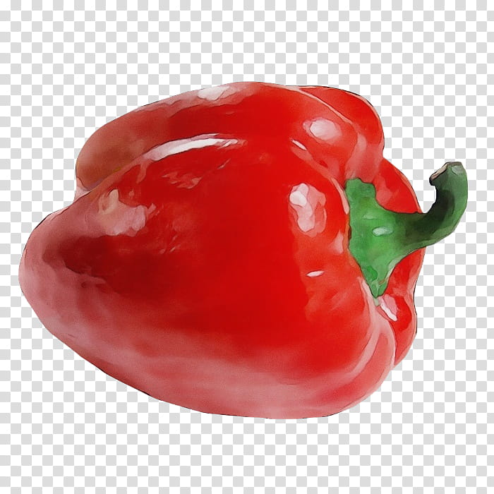 pimiento bell pepper bell peppers and chili peppers red red bell pepper, Watercolor, Paint, Wet Ink, Capsicum, Paprika, Vegetable, Peperoncini transparent background PNG clipart