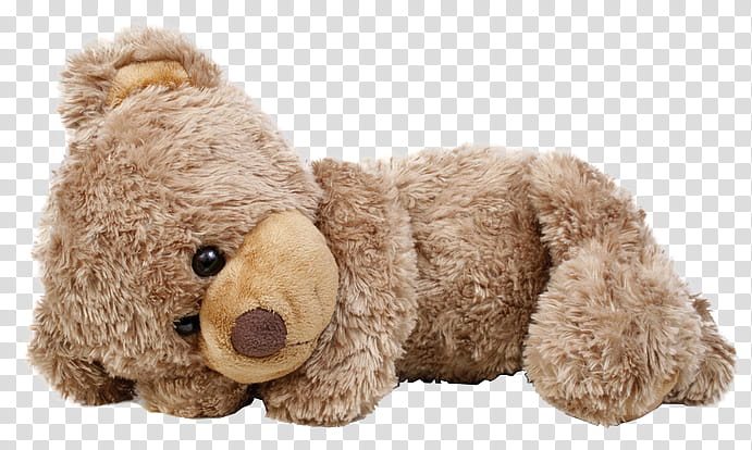 Dollhouse, brown bear plush toy transparent background PNG clipart