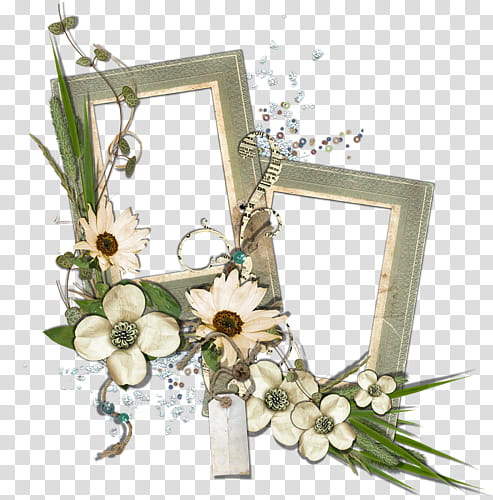 vector graphic flower frame png