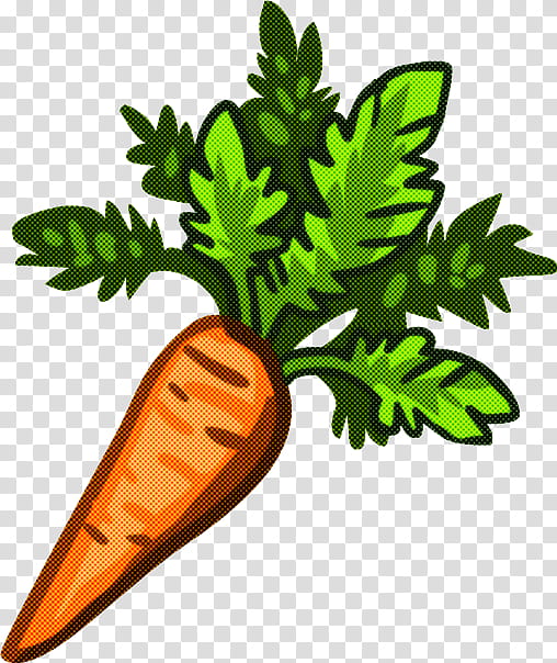 Drawing Of Family, Carrot, Carrot Cake, Vegetable, Baby Carrot, Food, , Leaf transparent background PNG clipart
