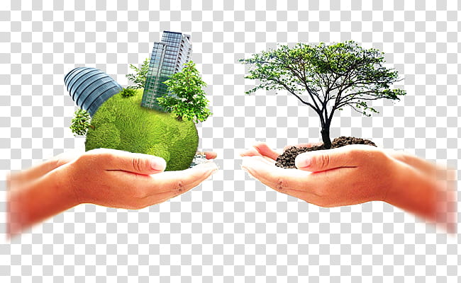 World Earth Day, Sustainability, Organization, Business, Management, Company, Business Development, Industry transparent background PNG clipart