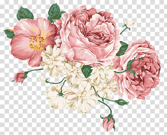 retro flowers, pink and white petaled flowers transparent background PNG clipart