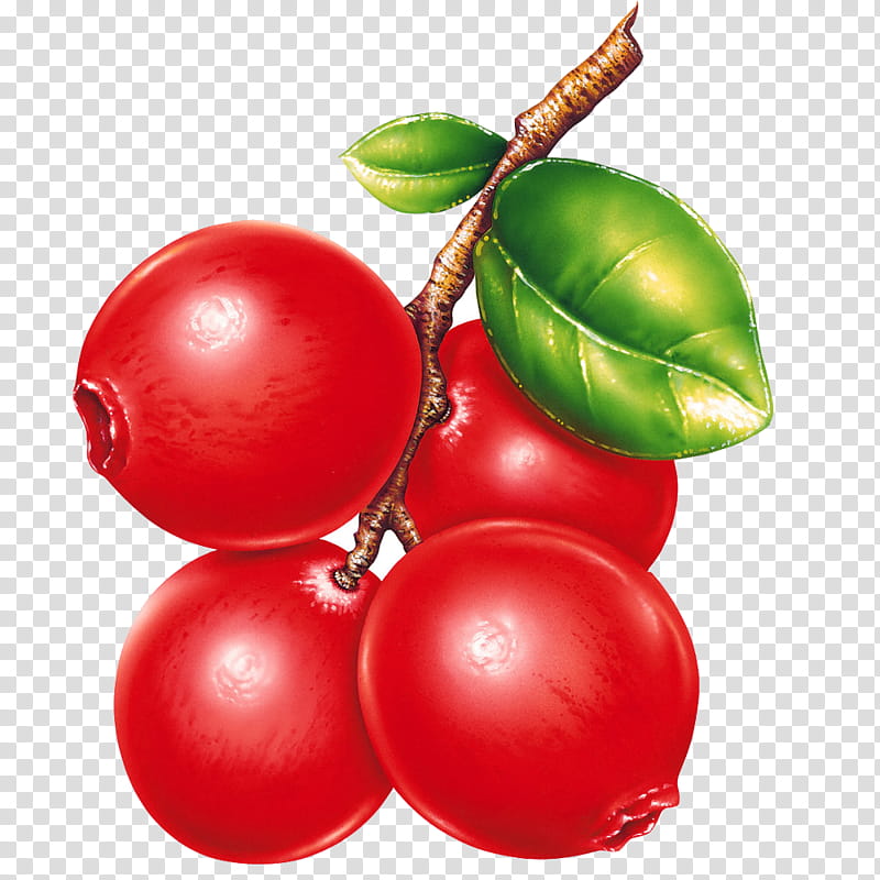 Fruit, four red raspberries transparent background PNG clipart