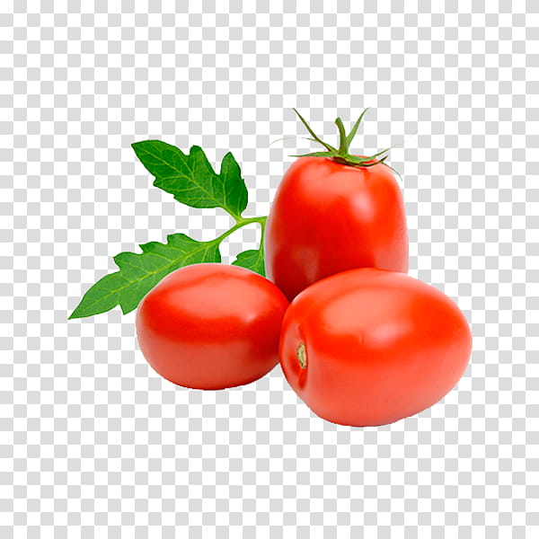 Potato, Italian Cuisine, Roma Tomato, Plum Tomato, Tomato Soup, Vegetable, Tomato Sauce, Brandywine transparent background PNG clipart