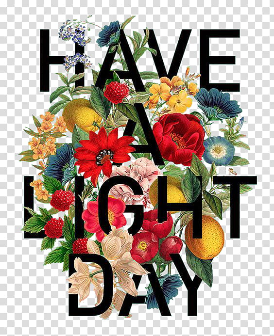 , have a light day graphic transparent background PNG clipart