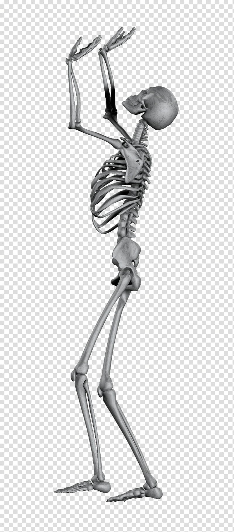 Skeleton, gray skeleton with raised hands transparent background PNG clipart