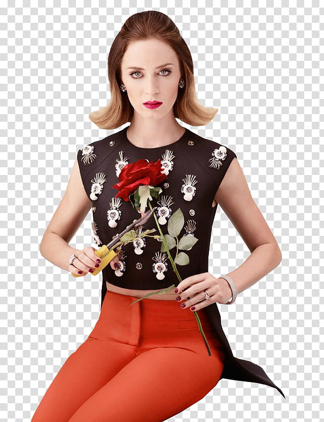 Emily Blunt, x_by_neveroutofstyle-dakcx transparent background PNG clipart