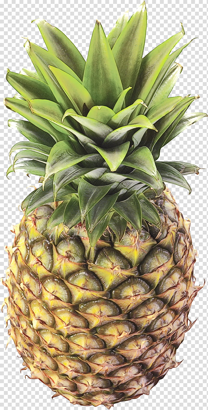 Juice, Pineapple, Fruit, Food, Pineapples, Natural Foods, Ananas, Plant transparent background PNG clipart