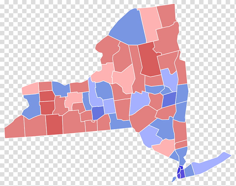 Party, New York Gubernatorial Election 2010, Governor Of New York, Us County, United States Senate, Democratic Party, Primary Election, Voting transparent background PNG clipart