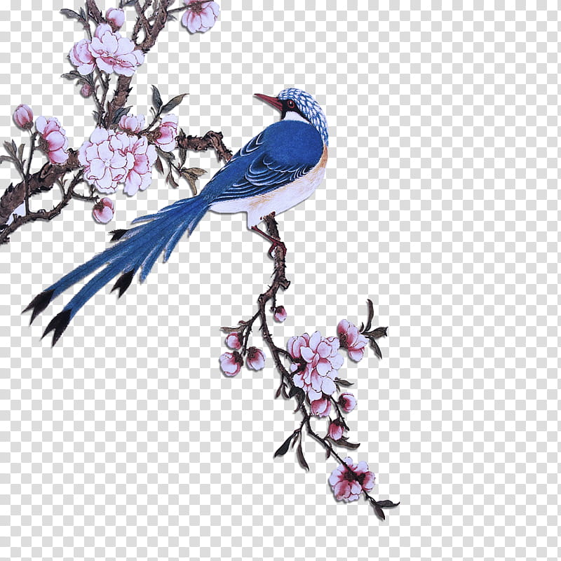 bird mountain bluebird branch bluebird eastern bluebird, Plant, Twig, Perching Bird, Beak, Flower, Songbird, Scrub Jay transparent background PNG clipart