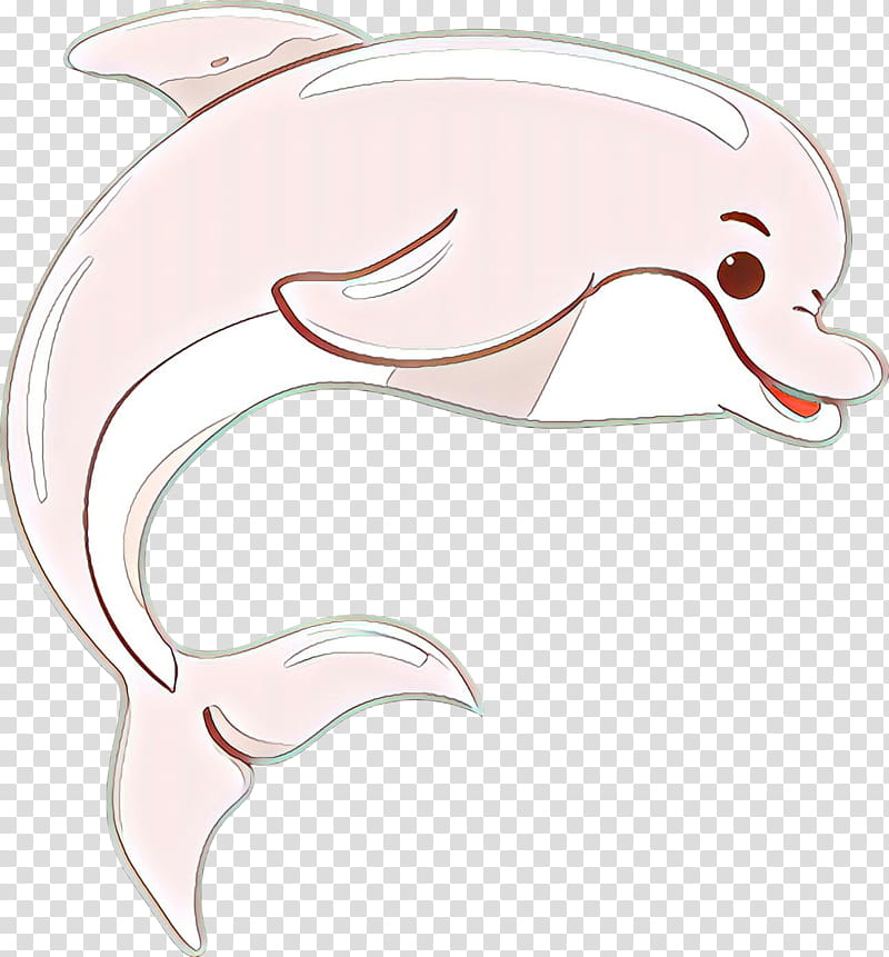 Fish, Dolphin, Porpoise, Ear, Whales, Cetaceans, Jaw, Line transparent background PNG clipart