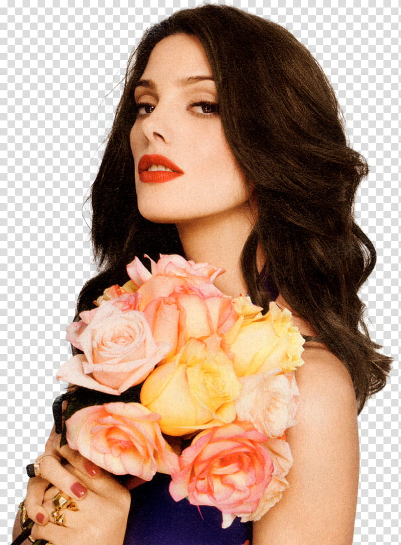 Ashley Greene transparent background PNG clipart