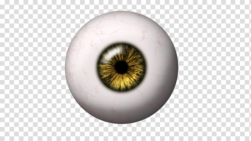 EYE BALLS, eye transparent background PNG clipart