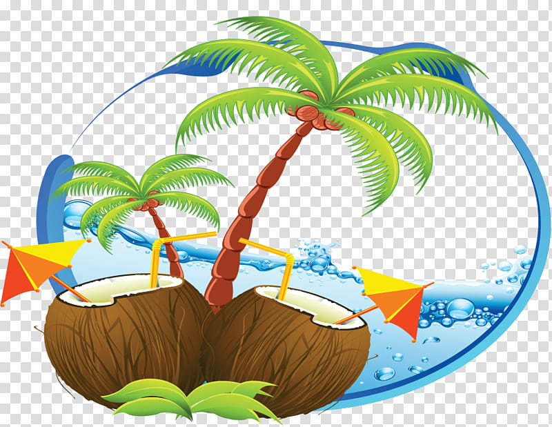 Coconut Tree Drawing, Goa, Tourism, Blog, Palm Tree, Arecales, Cartoon, Leaf transparent background PNG clipart