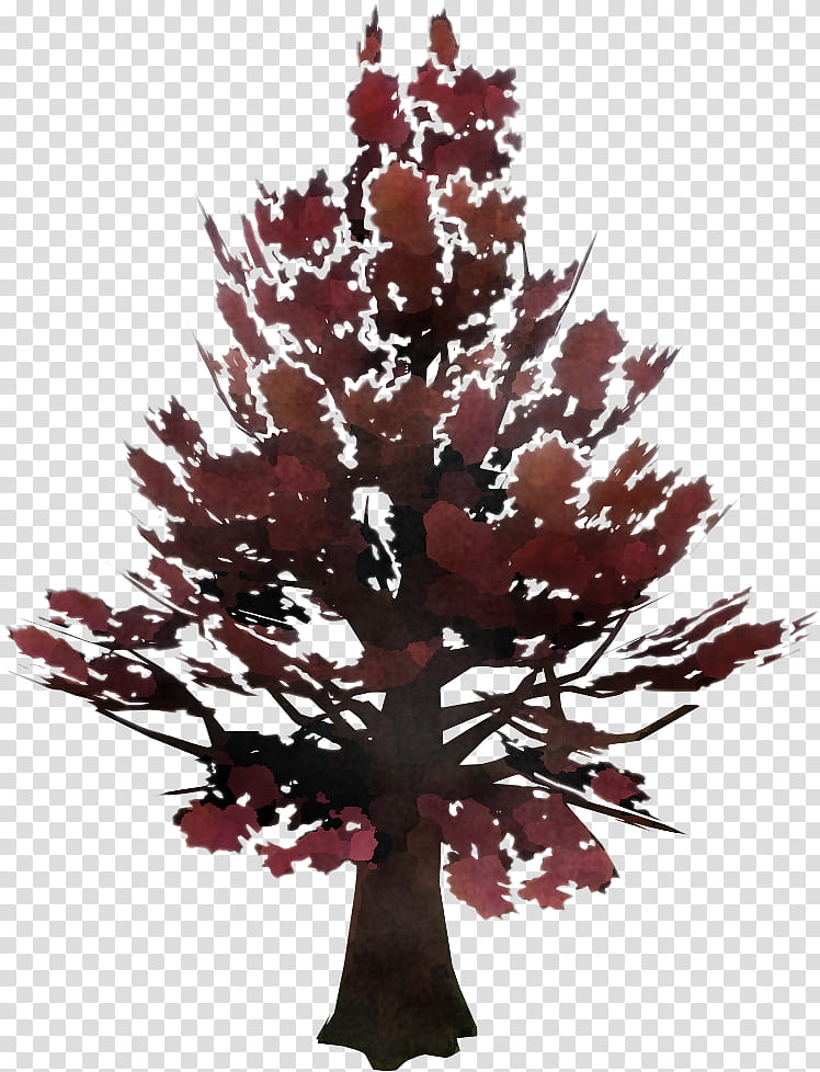 tree leaf red plant woody plant, Branch, Maple, American Larch, Twig, Red Pine, Sweet Gum, Deciduous transparent background PNG clipart