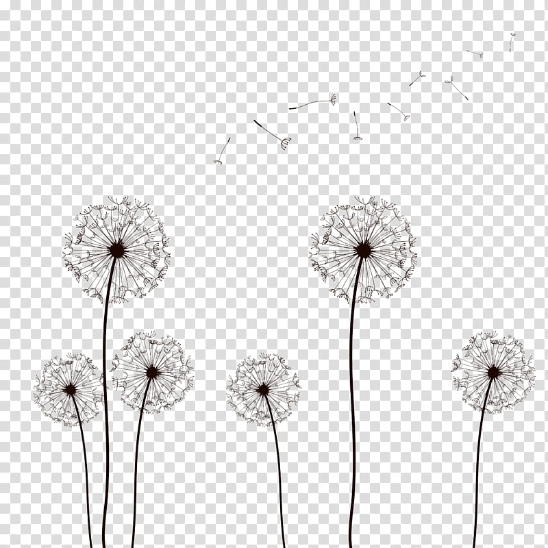 Picsart, Drawing, Common Dandelion, Flower, Plant transparent background PNG clipart