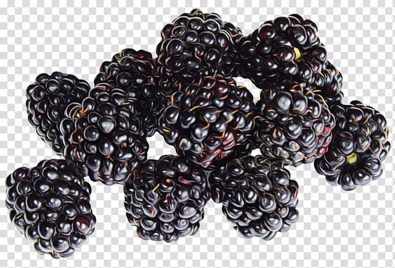Family Tree, Berries, Blackberry, Bramble, Flavor, Blueberry, Raspberry, Cabernet Sauvignon transparent background PNG clipart