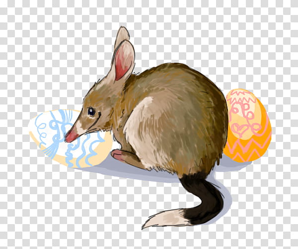 Rat, Computer Mouse, Muridae, Muroidea, Pest, Rabbit, Wallaby, Fawn transparent background PNG clipart